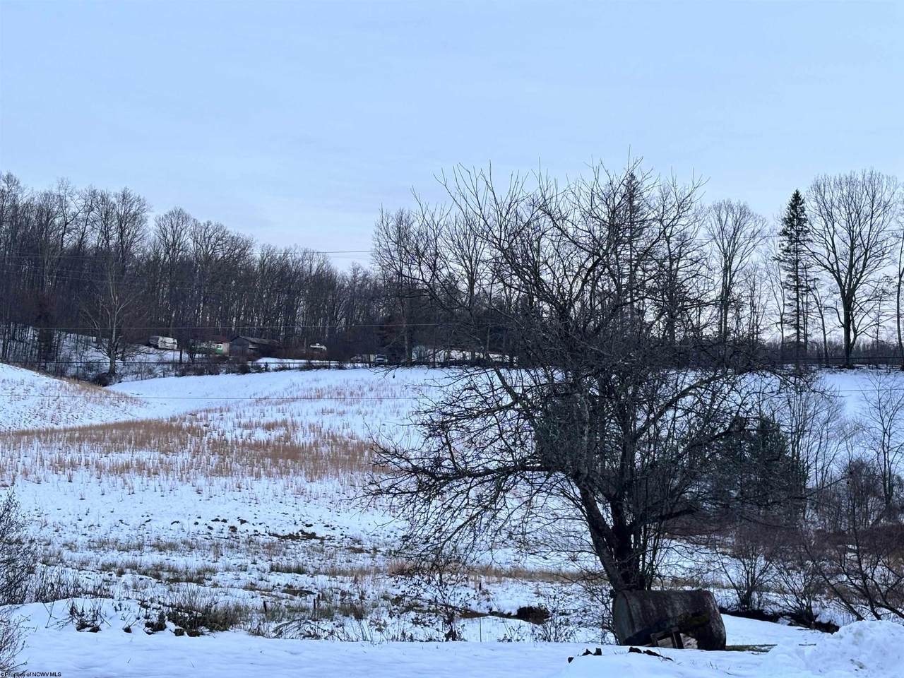 1021 Clover Run Road - Photo 1