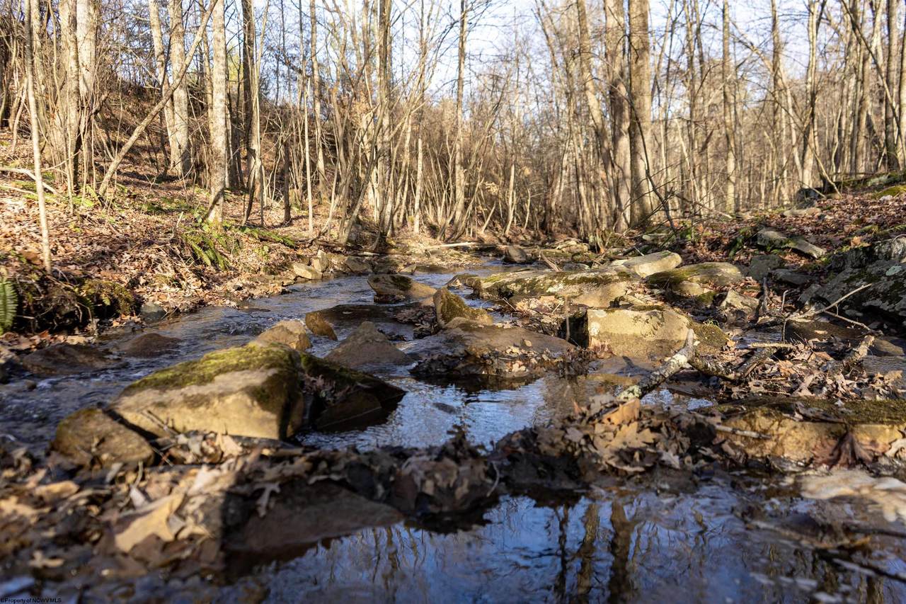 Lot 1 Frost Run - Photo 1