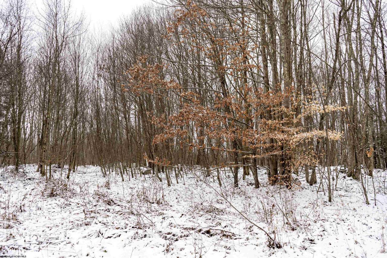 Lot 1 Shady Grove Road - Photo 1