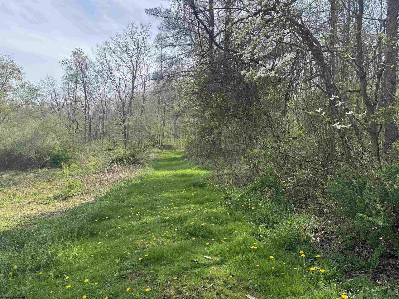 TBD Palmer Drive - Photo 1