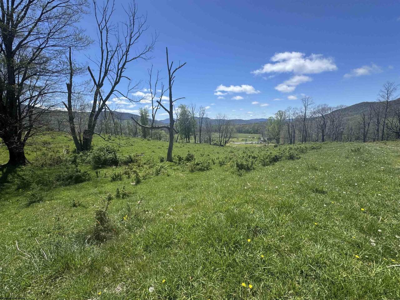 100 Miller Farm Lane - Photo 1