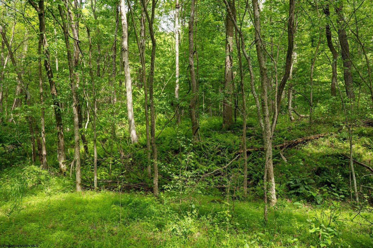 https://bt-photos.global.ssl.fastly.net/ncwv/1280_boomver_1_10165027-2.jpg