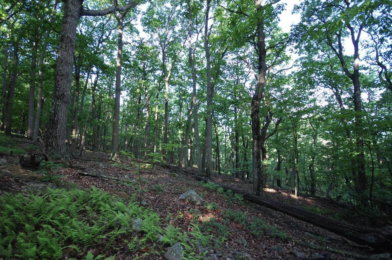 Lot 23 Long Lick Run Road - Photo 1