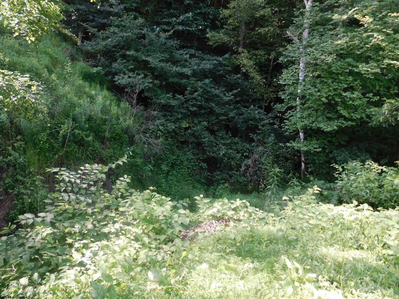 TBD Independence Road - Photo 1
