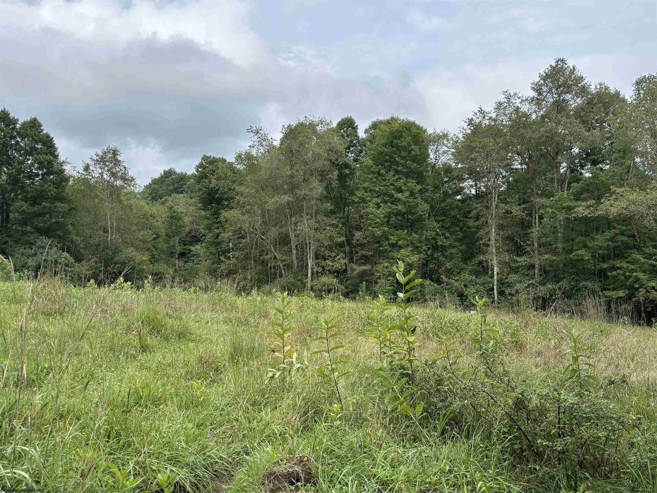 96 Donnie Hill Road - Photo 1