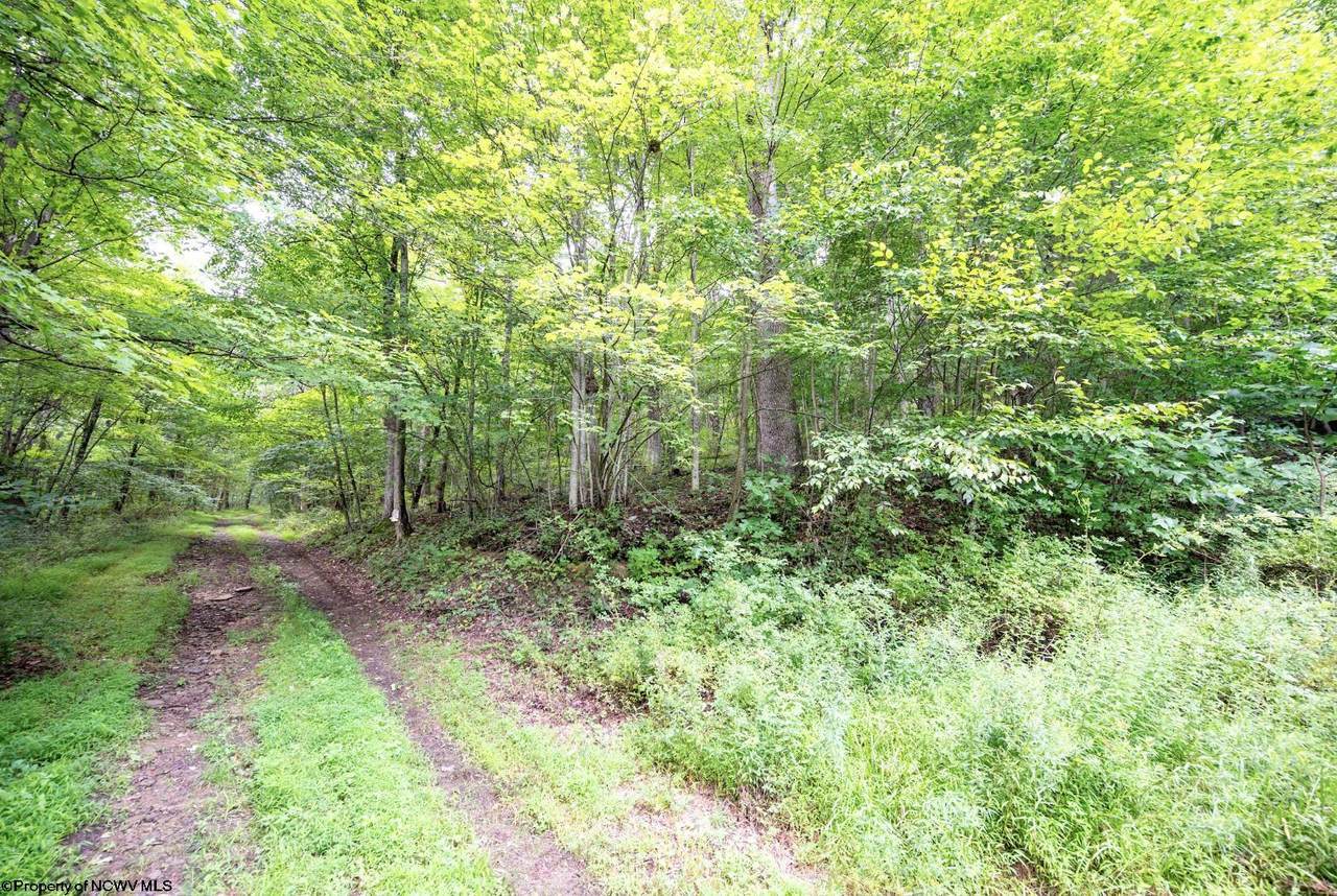 https://bt-photos.global.ssl.fastly.net/ncwv/1280_boomver_1_10166525-2.jpg