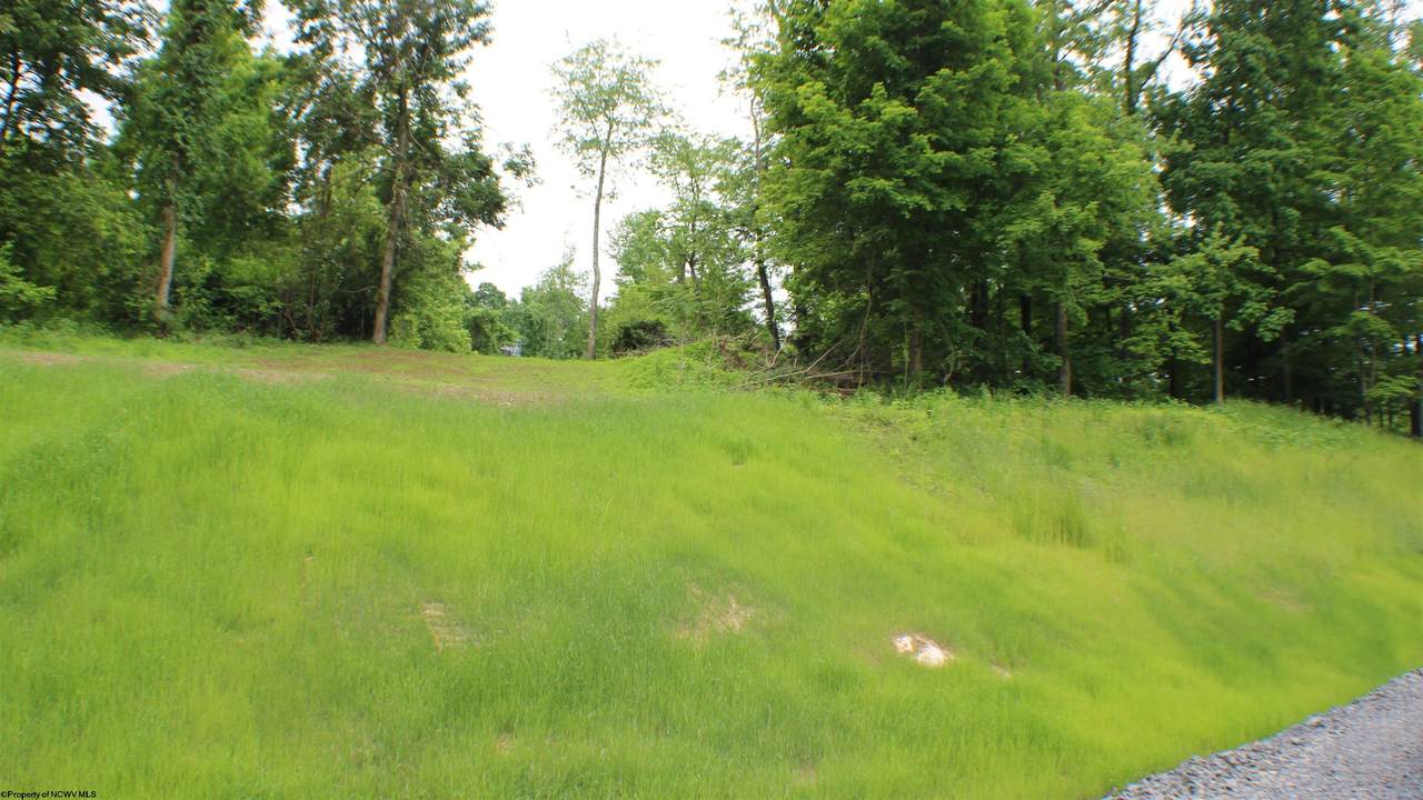 Lot #7 Bear Butte Way - Photo 1