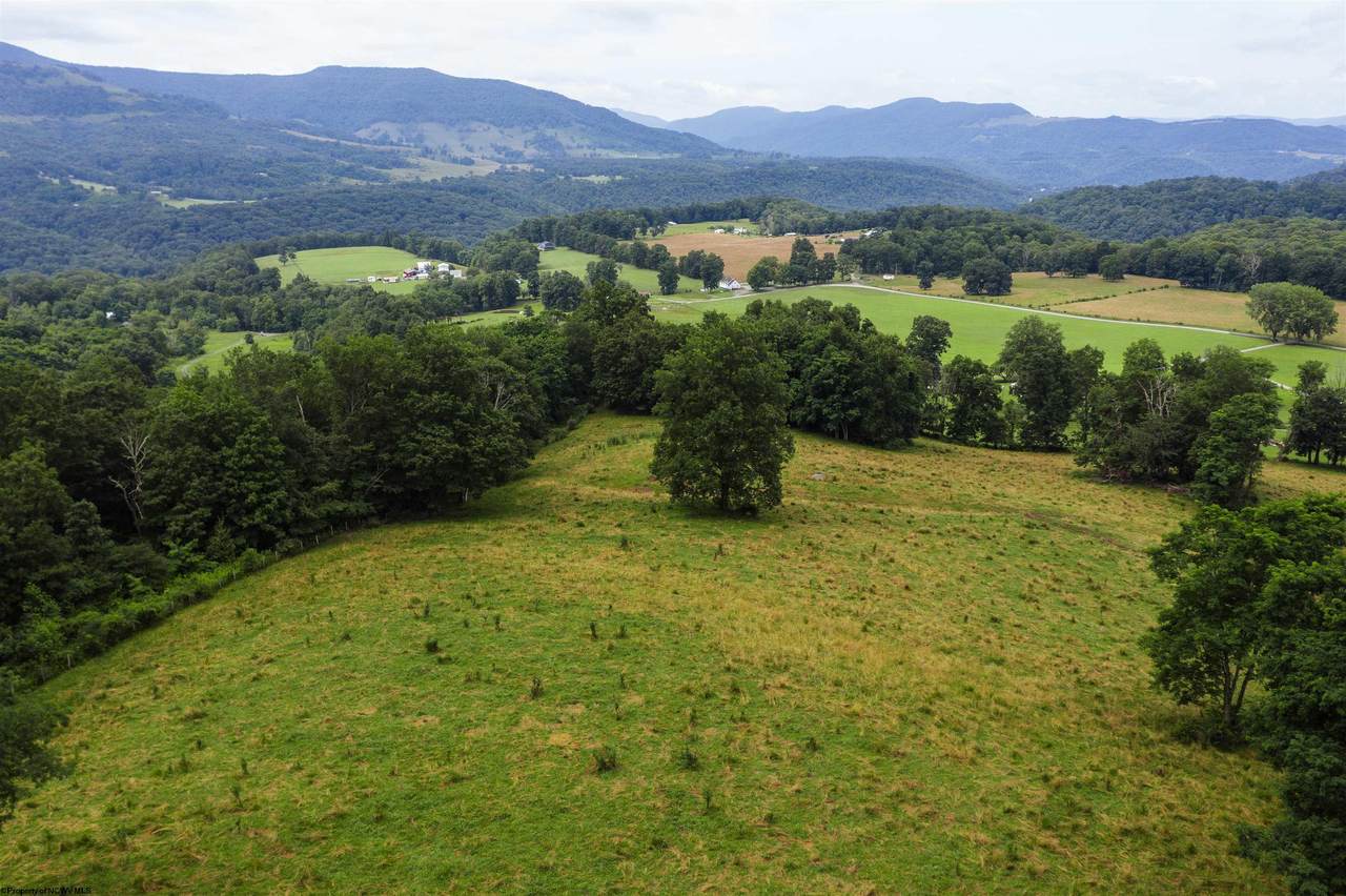 100 Miller Farm Lane - Photo 1