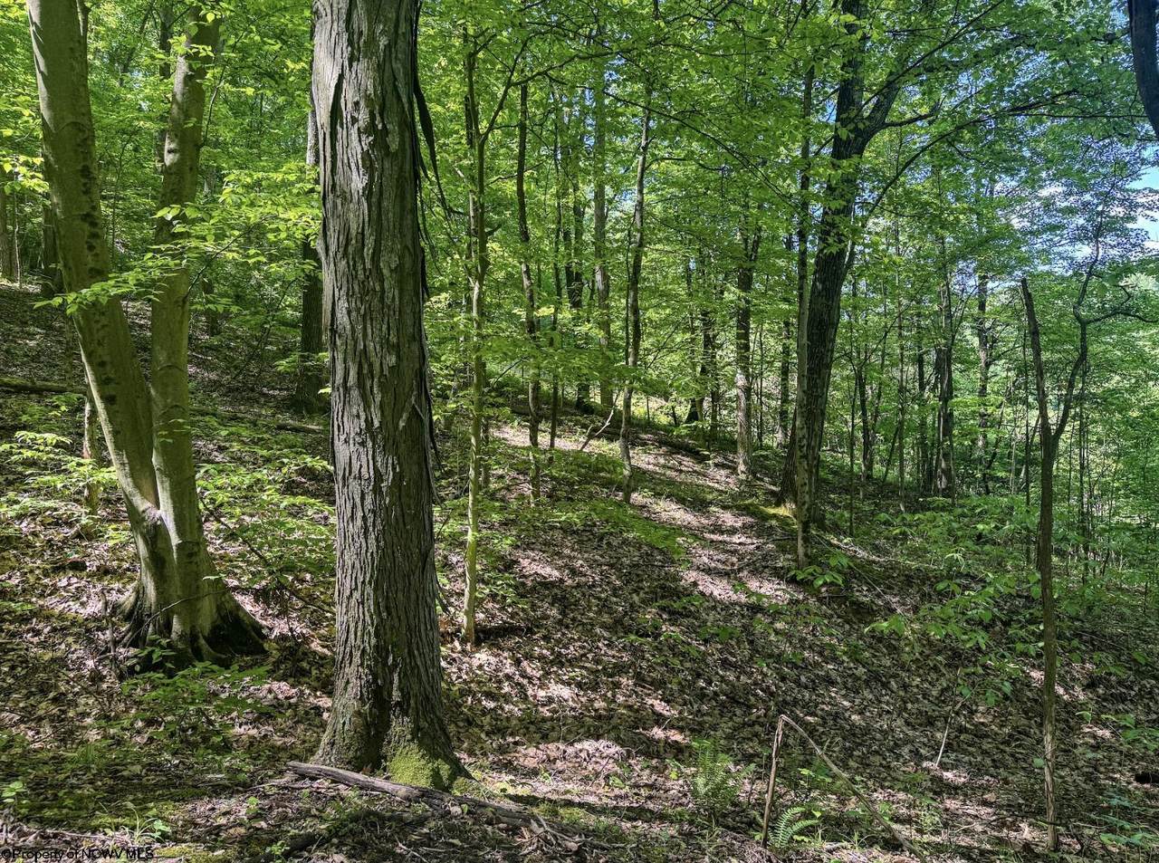 TBD Rush Run Road - Photo 1