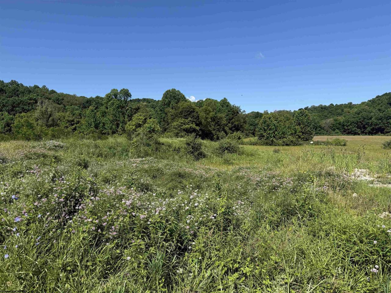 TBD Middletown Road - Photo 1