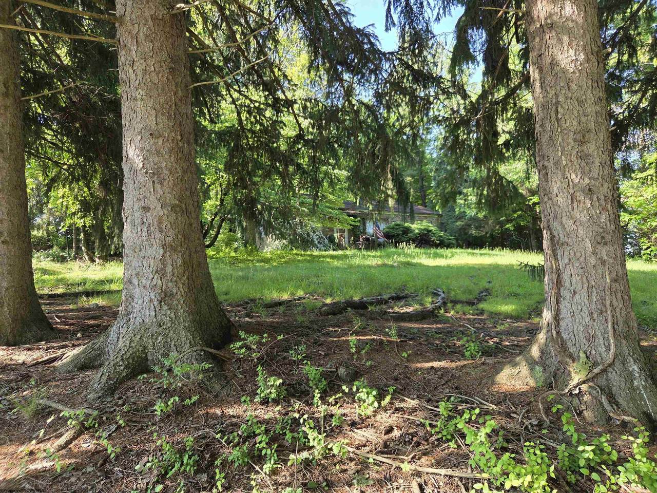 https://bt-photos.global.ssl.fastly.net/ncwv/1280_boomver_2_10165272-2.jpg