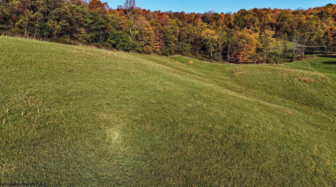 Lot 3 Lynch Road - Photo 1