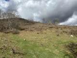 TBD Dryfork Road - Photo 8