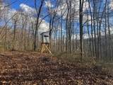 TBD Keller Hill Road - Photo 2