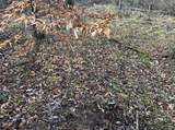 TBD Keller Hill Road - Photo 23