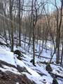 Tract 3 Fill Hollow Road - Photo 3