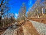 TBD Laurel Creek Trail - Photo 19
