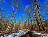TBD Laurel Creek Trail - Photo 2