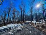 TBD Laurel Creek Trail - Photo 26