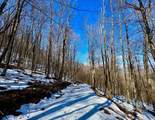 TBD Laurel Creek Trail - Photo 28