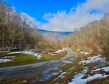 TBD Laurel Creek Trail - Photo 29