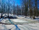 TBD Laurel Creek Trail - Photo 31