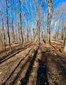 TBD Laurel Creek Trail - Photo 32