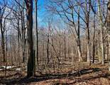 TBD Laurel Creek Trail - Photo 33