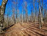 TBD Laurel Creek Trail - Photo 34