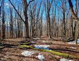TBD Laurel Creek Trail - Photo 35