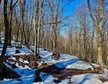 TBD Laurel Creek Trail - Photo 36