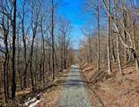 TBD Laurel Creek Trail - Photo 37