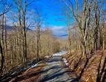 TBD Laurel Creek Trail - Photo 38