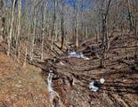 TBD Laurel Creek Trail - Photo 40