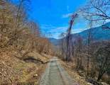 TBD Laurel Creek Trail - Photo 41