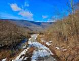 TBD Laurel Creek Trail - Photo 42