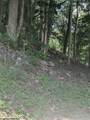 522 Point Mountain Road - Photo 17