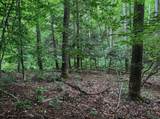 TBD Laurel Dale Road - Photo 10