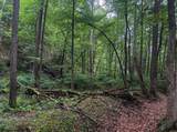 TBD Laurel Dale Road - Photo 12