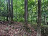 TBD Laurel Dale Road - Photo 13