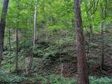 TBD Laurel Dale Road - Photo 14