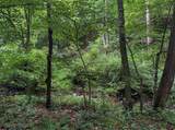 TBD Laurel Dale Road - Photo 15