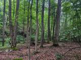 TBD Laurel Dale Road - Photo 2