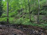 TBD Laurel Dale Road - Photo 3