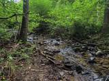 TBD Laurel Dale Road - Photo 4