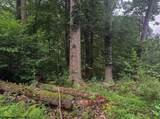 TBD Laurel Dale Road - Photo 7