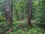 TBD Laurel Dale Road - Photo 8