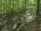 TBD Rush Run Road - Photo 2