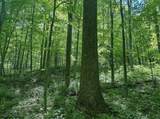 TBD Rush Run Road - Photo 20