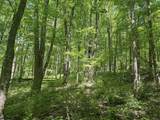 TBD Rush Run Road - Photo 6